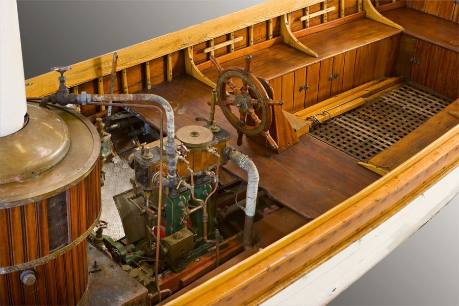 Steamboat Asphodel - Picture 4