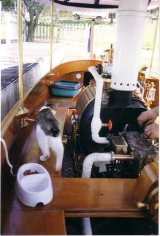Steamboat Leona - Picture 2