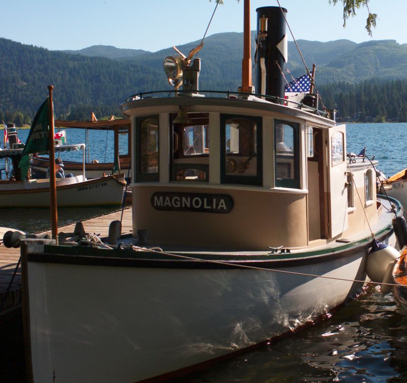 Steamboat Magnolia - Picture 1