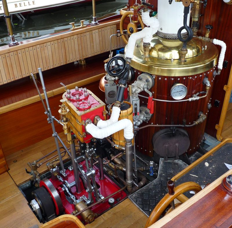 Steamboat Penelope - Picture 4