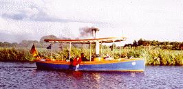 Steamboat Saphire - Picture 1
